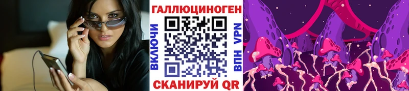 цена наркотик  Кириллов  Псилоцибиновые грибы GOLDEN TEACHER 
